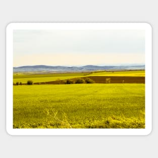 Yellow fields Sticker